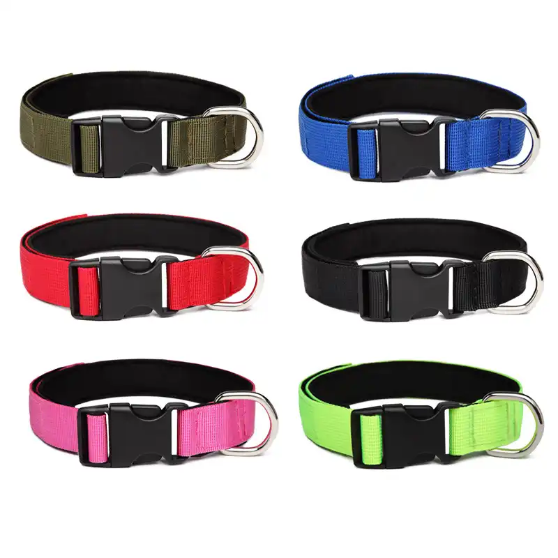 o ring dog collar
