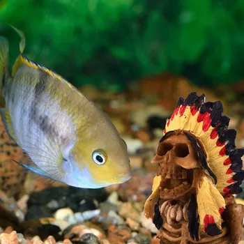 

Aquarium Ornament Resin Skeleton Artificial Skull Skeleton Reptile Ornament