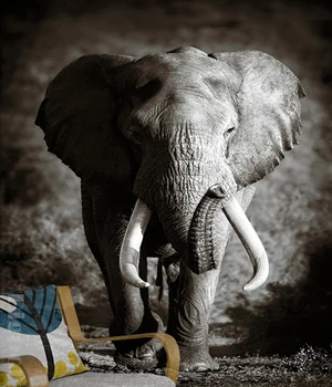 

[Self-Adhesive] 3D Elephant WG656 Wall Paper mural Wall Print Decal Wall Murals Belly