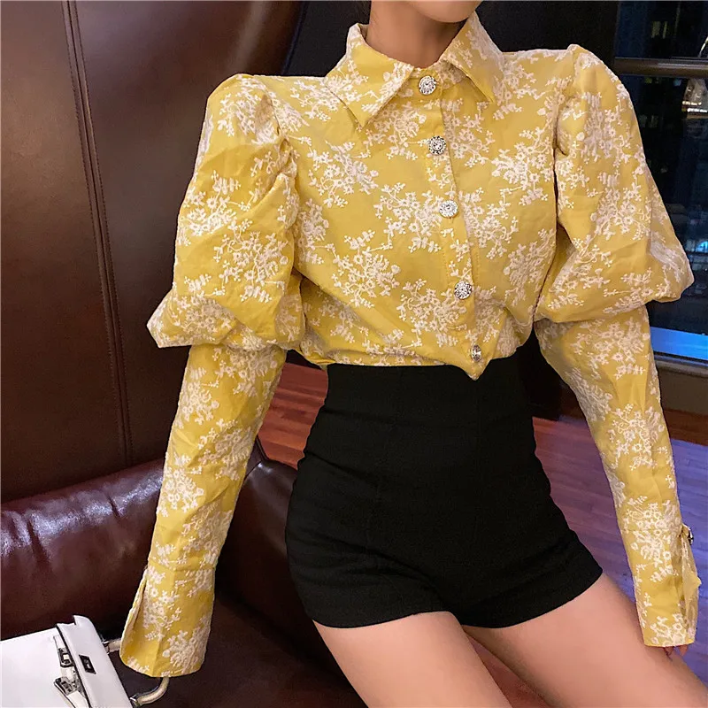 Hb94ed8f54a9a4848bfce36728c3ec30eT - Spring / Autumn Turn-Down Collar Puff Long Sleeves Embroidery Floral Blouse