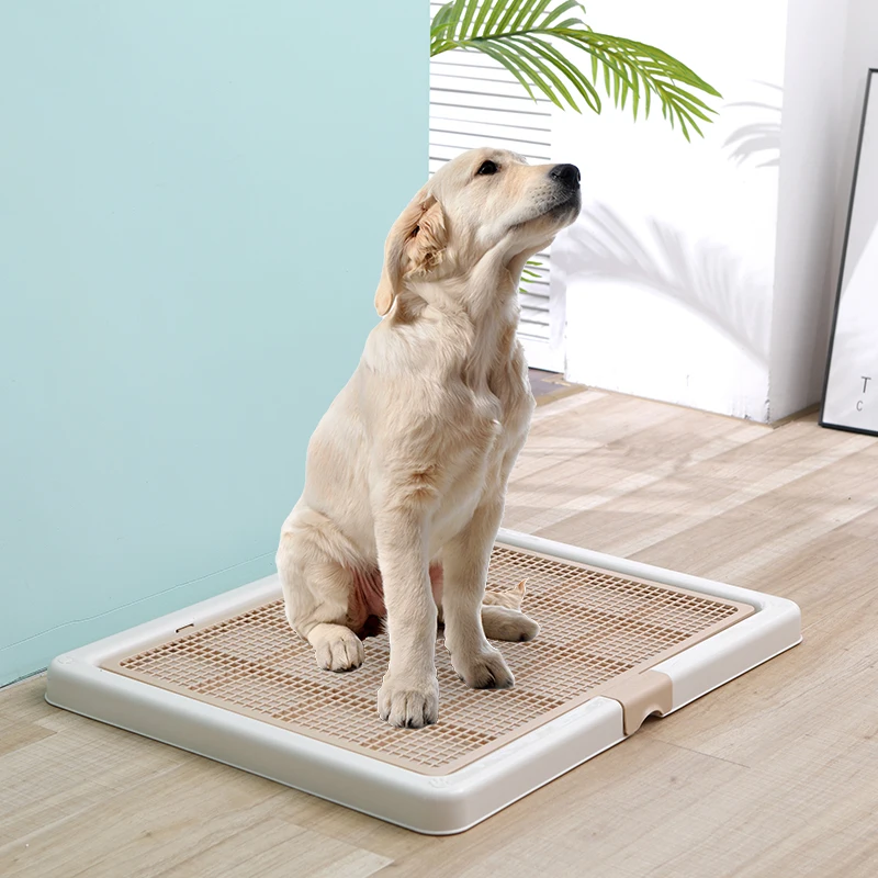 dog litter box for large dogs