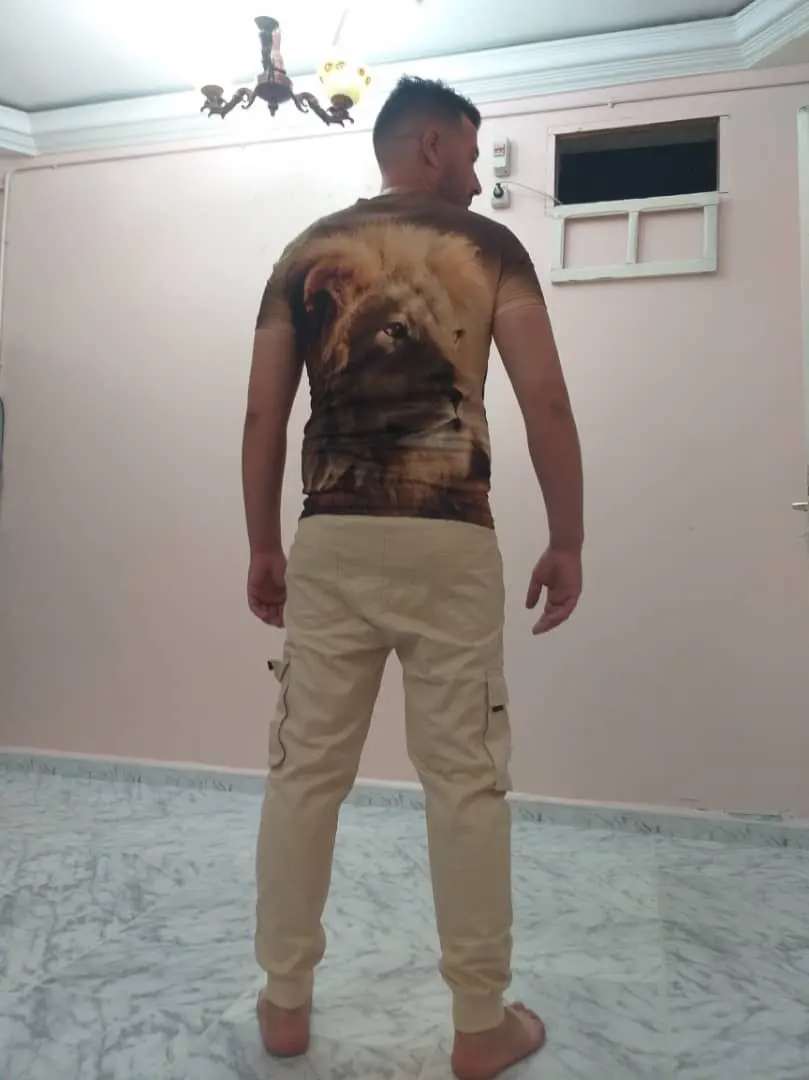 3D printing Lion Men T-Shirt Fashion O-Neck Casual Trend Short Sleeve Oversized T-Shirt Selling Punk Streetwear All-Match Tops 3D printing Lion Men T-Shirt Fashion O-Neck Casual Trend Short Sleeve Oversized T-Shirt Selling Punk Streetwear All-Match Tops