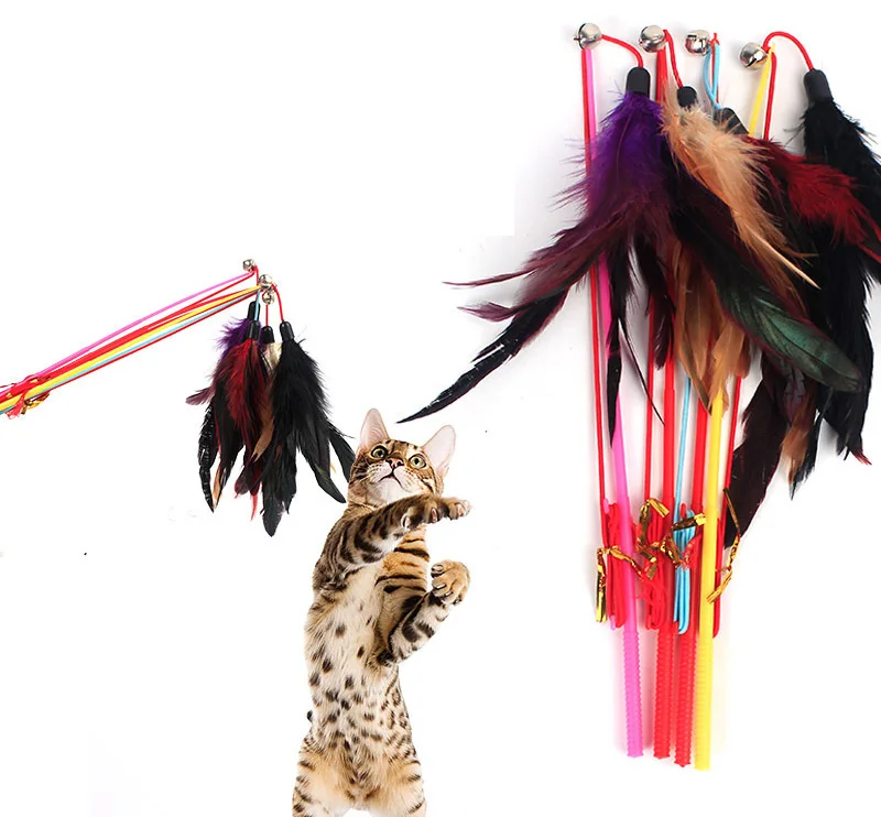 cat toy feather-