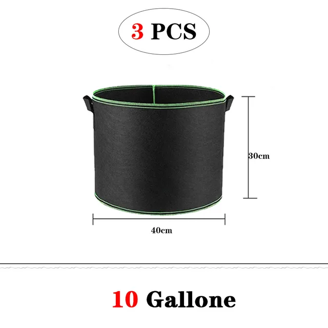 10 Gallon 3PCS