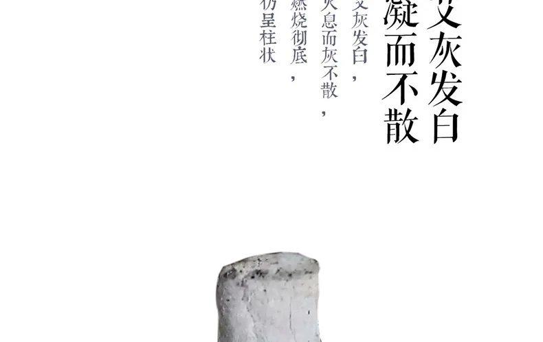 Moxa Stick Manufacturers Wholesale Three Years Chen Ai Article Wild Wormwood Moxibustion Article Processing Customizable Moxibus
