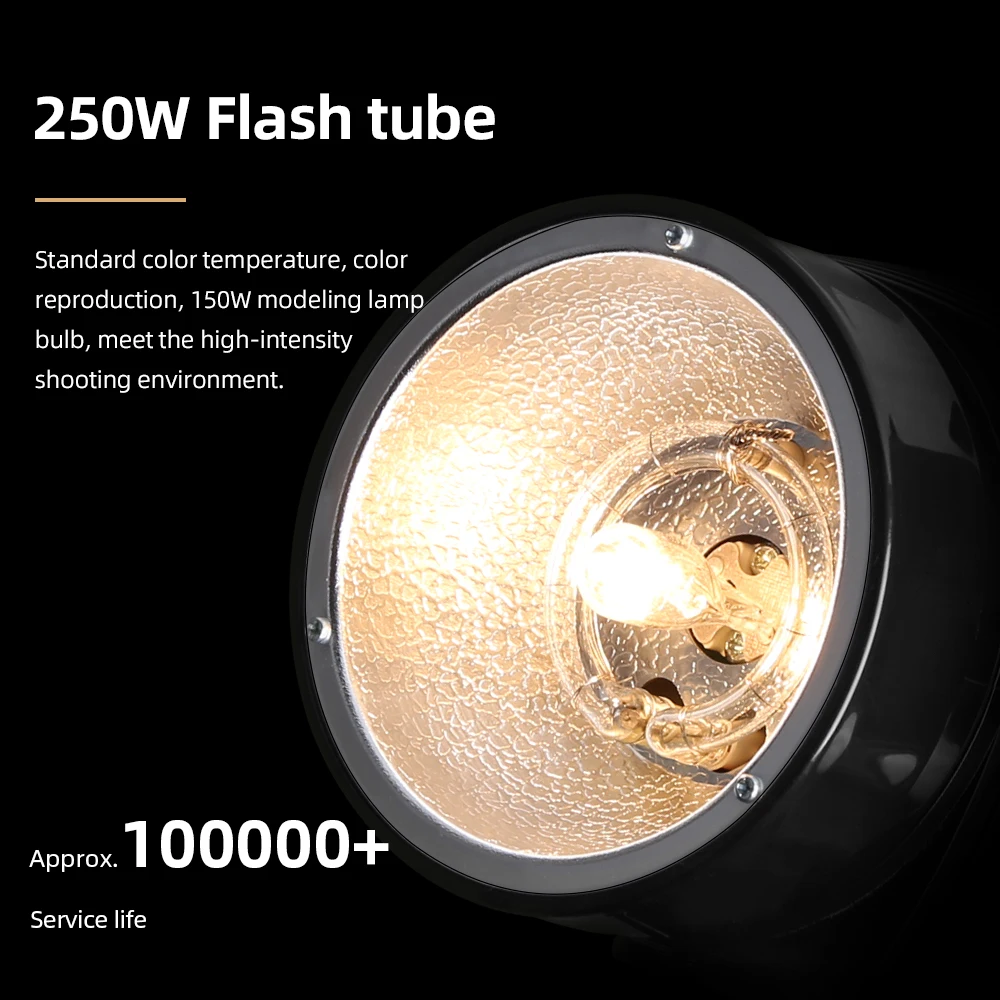 Godox E250 PRO 250W 사진 스튜디오 스트로브 사진 플래시 조명 무선 제어 포트가 있는 스튜디오 플래시 (250WS)