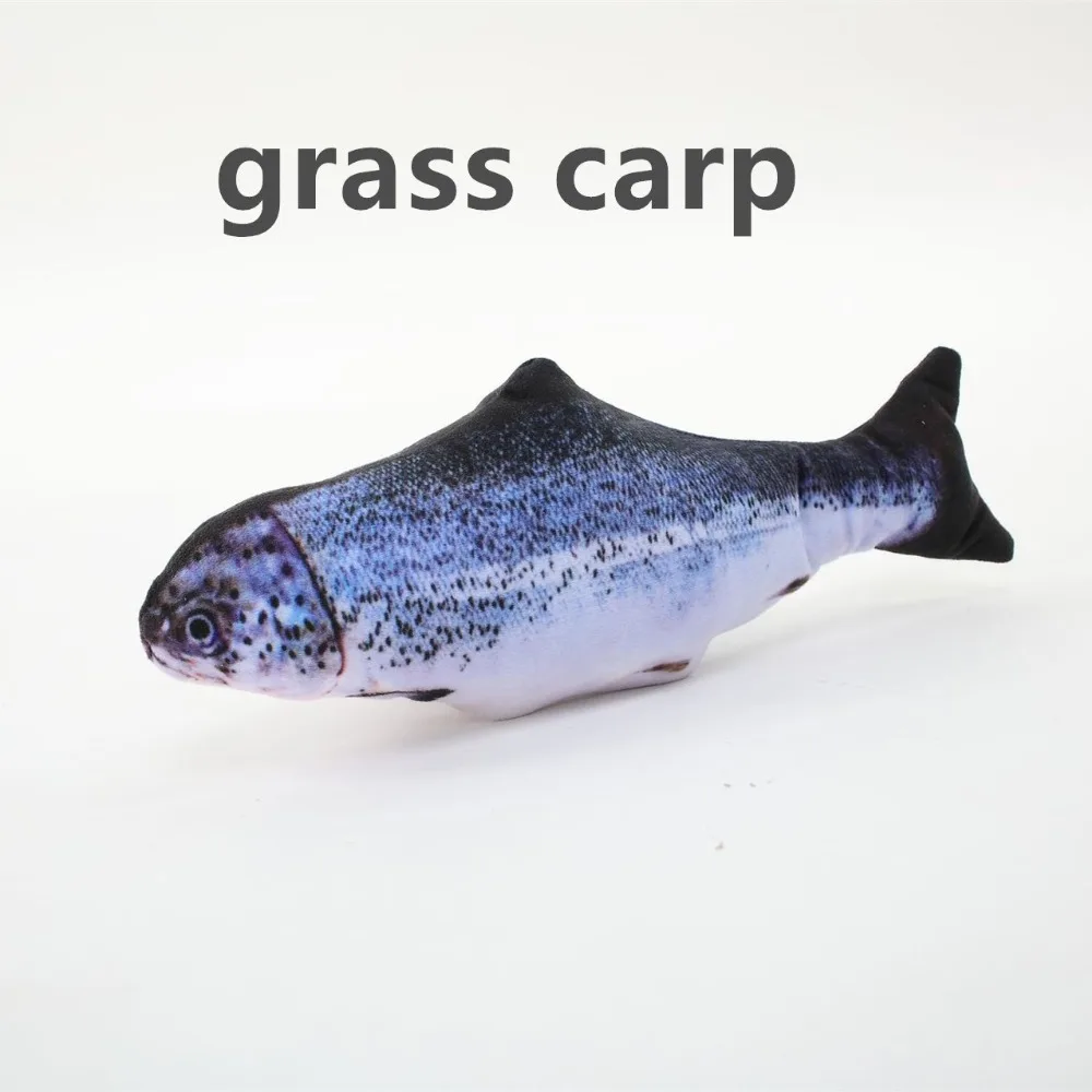 13157841675_2138397933_副本