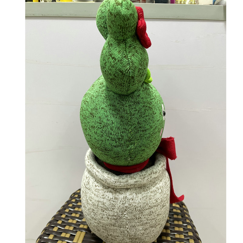 Start Up-Cactus Doll