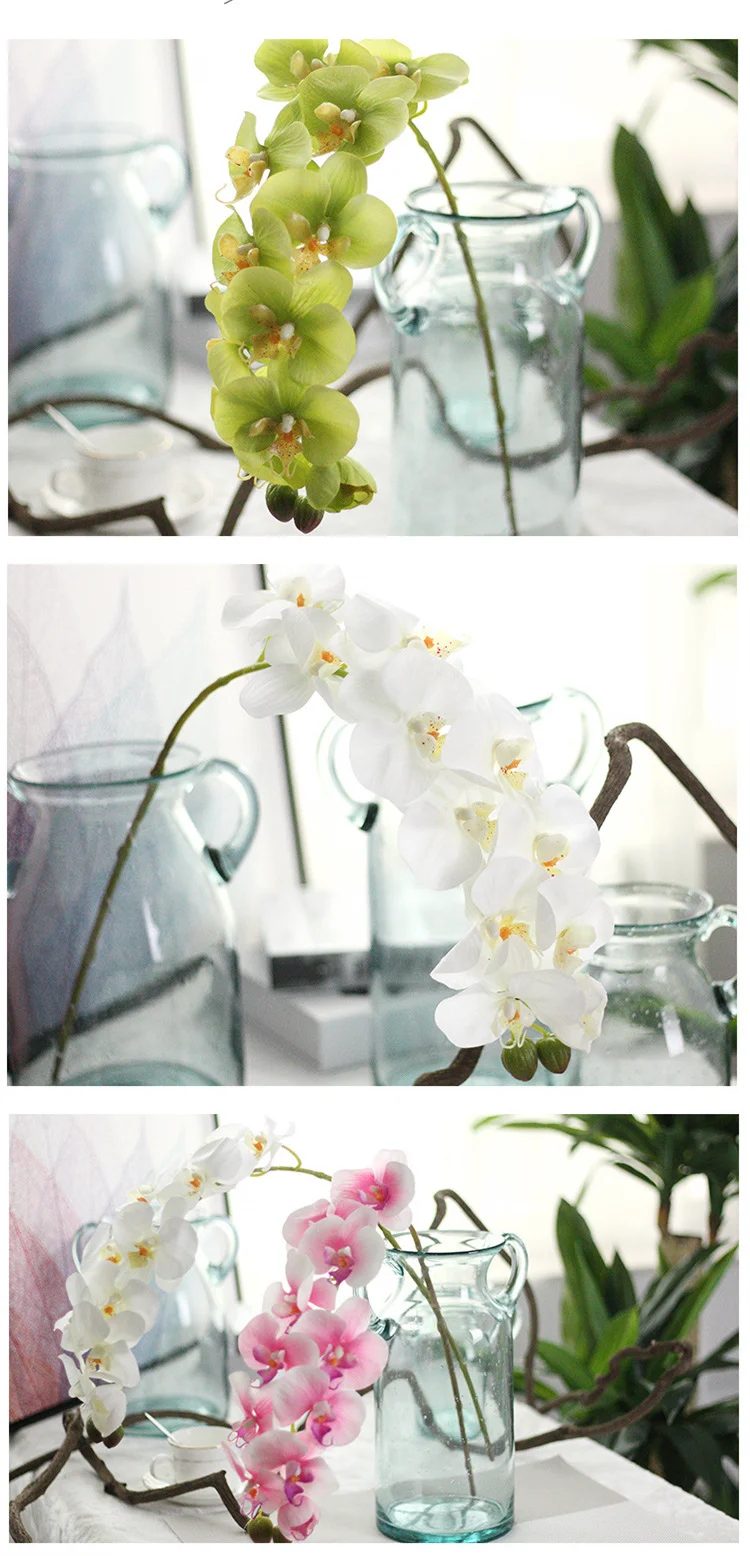 4376288436_516171610