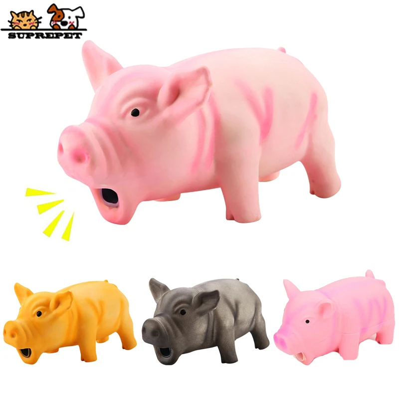 grunting pig dog toy