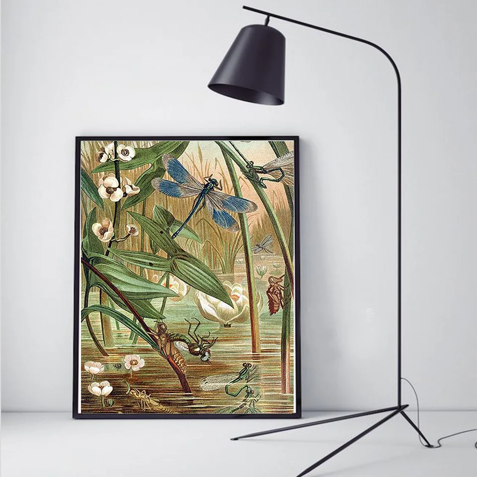 12.jpg_.webp 12.jpg_.webp