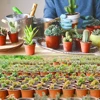 100Pcs Flowerpot Plastic Grow Box Fall Resistant Tray For Home Garden Plants Nursery Cup Transplant Flower Plant Pots 3