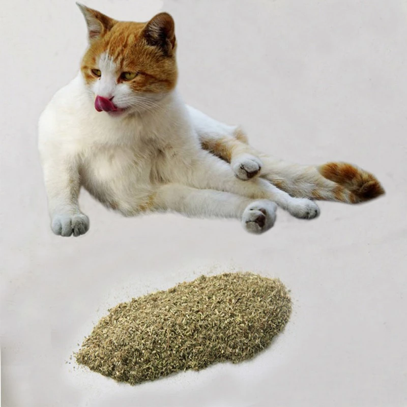 catnip aliexpress