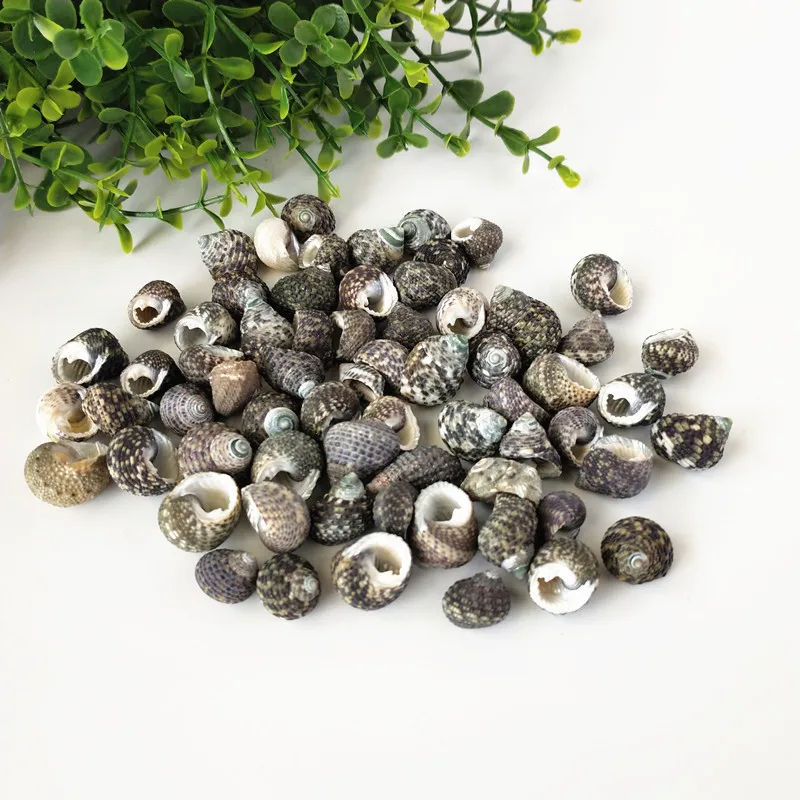 

Happy Kiss 50pcs Natural crafts Conch Shell starfish fish Aquarium Ornament Fish Tank Landscape Sea Home Decoration