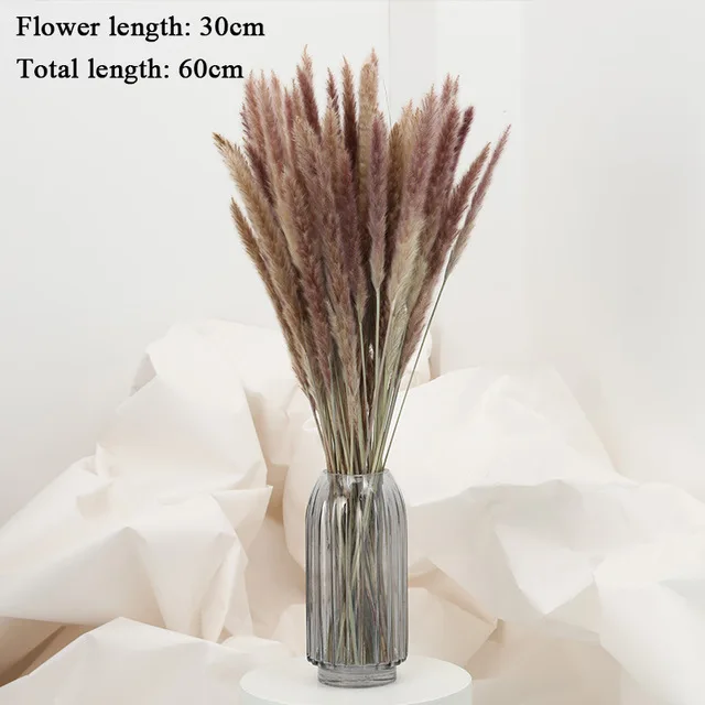 10-Pcs-Pampas-Grass-Real-Dried-Plants-Decor-Wedding-Flower-Bunch-Natural-Plants-Decor-Flowers-Free.jpg_640x640 (1)