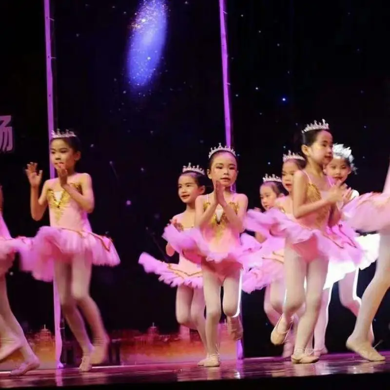 Girls Ballet Dress Tutu Kids Dance Clothing Costumes Leotards