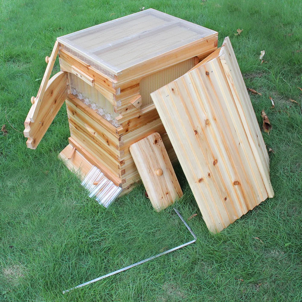 66*43*26 см высококачественный автоматический Деревянный пчелиный улей дом деревянный ящик для пчел оборудование пчеловодства инструмент для пчелиный улей питания