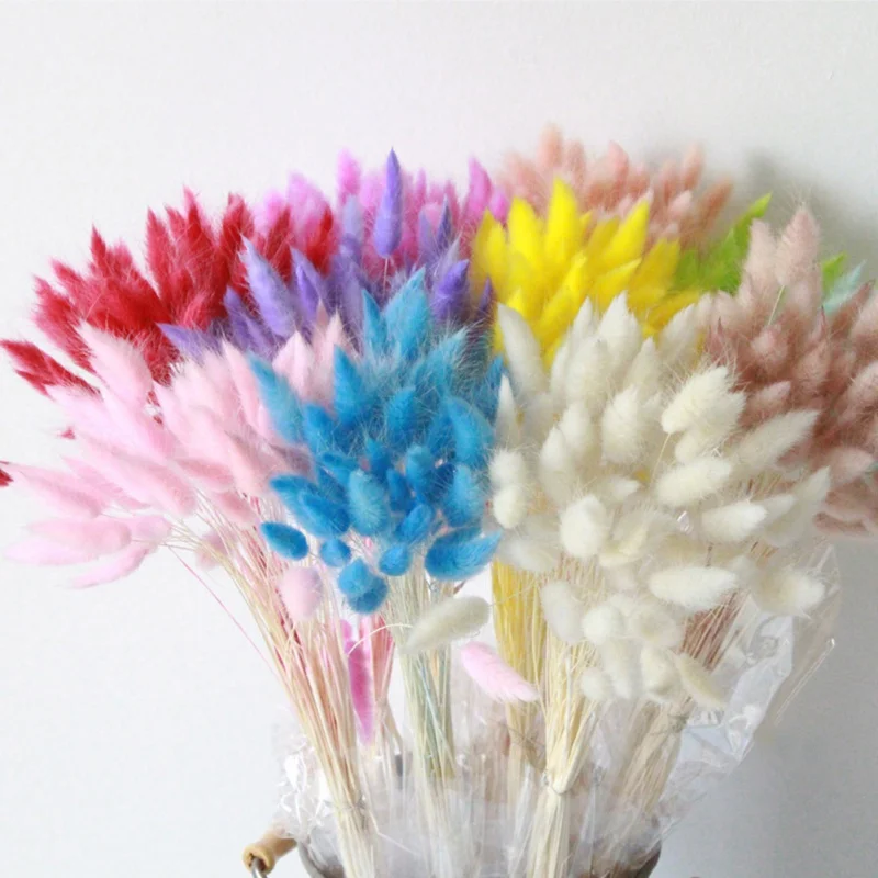 

30Pcs/lot Natural Dried Flowers Colorful Lagurus Ovatus Real Flower Bouquet for Home Wedding Decoration Rabbit Tail Grass Bunch