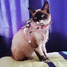 View of Fashion Plaid Cat Harness | Harness Leash Set Cats | Reflective Harness ...