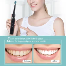 Seago SG-507 USB аккумуляторная электрическая зубная щетка для взрослых Водонепроницаемая Глубокая чистка зубная щетка с 2 сменными головками
