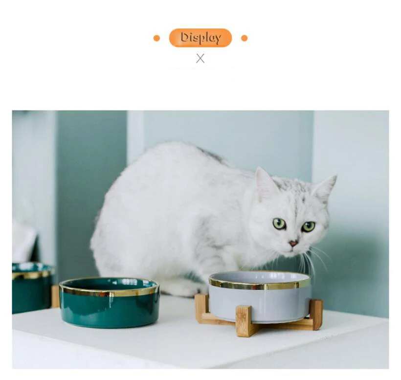 QQ截图20190925163913