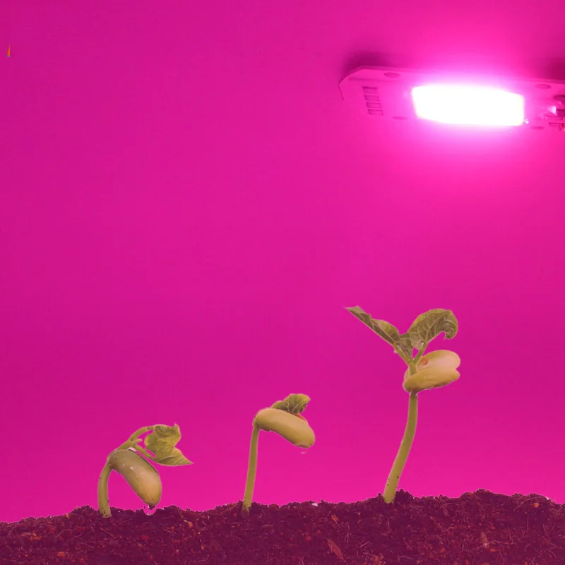 УФ полный спектр светодиодный светильник для выращивания растений лампы для R комнатный рост рассады растений и рост цветов Fitolamp(20 Вт/30 Вт/50 Вт