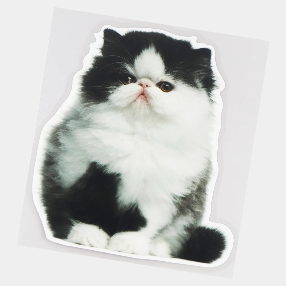 Fuzhen Boutique Decalcomanie Accessori Esterni Little Persiano Cat Lovely Animal Car Sticker Body Scratch Cover Decoration