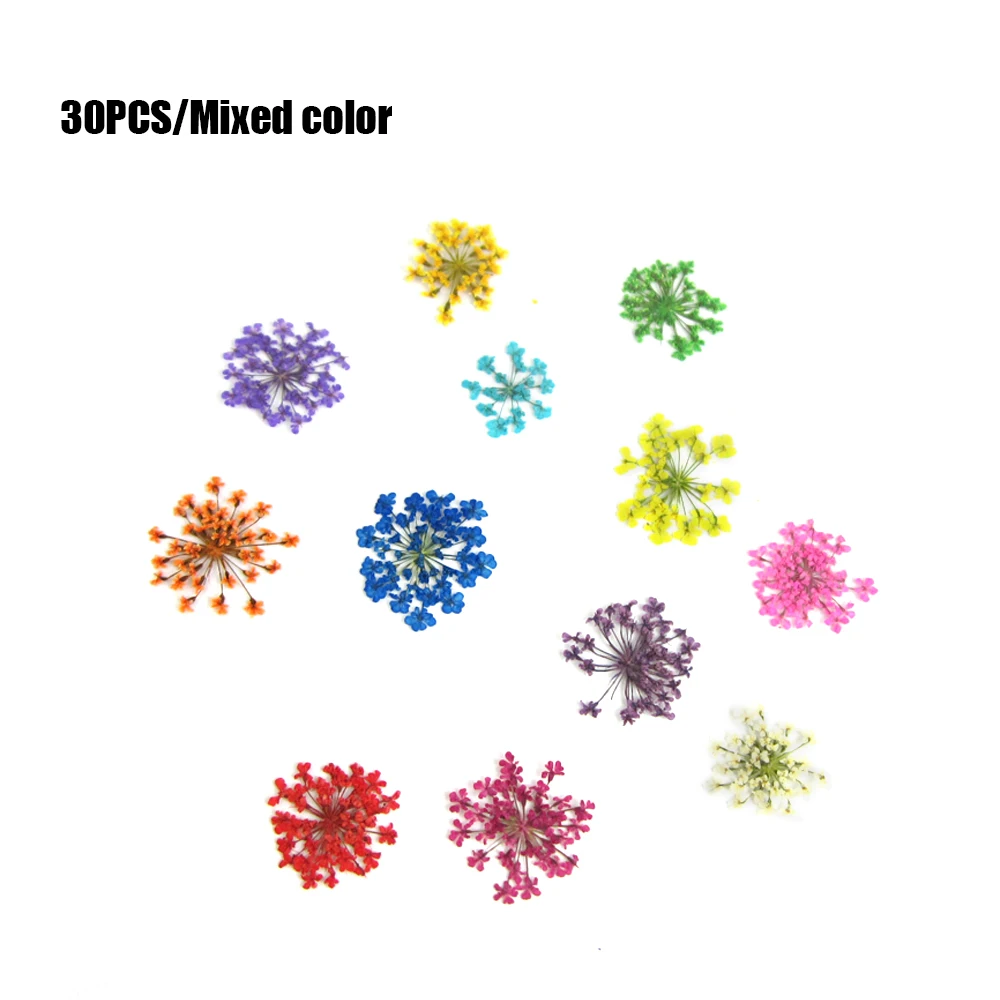 30 шт./компл. прессованный высушенный цветок сухая подвеска с плодами растений