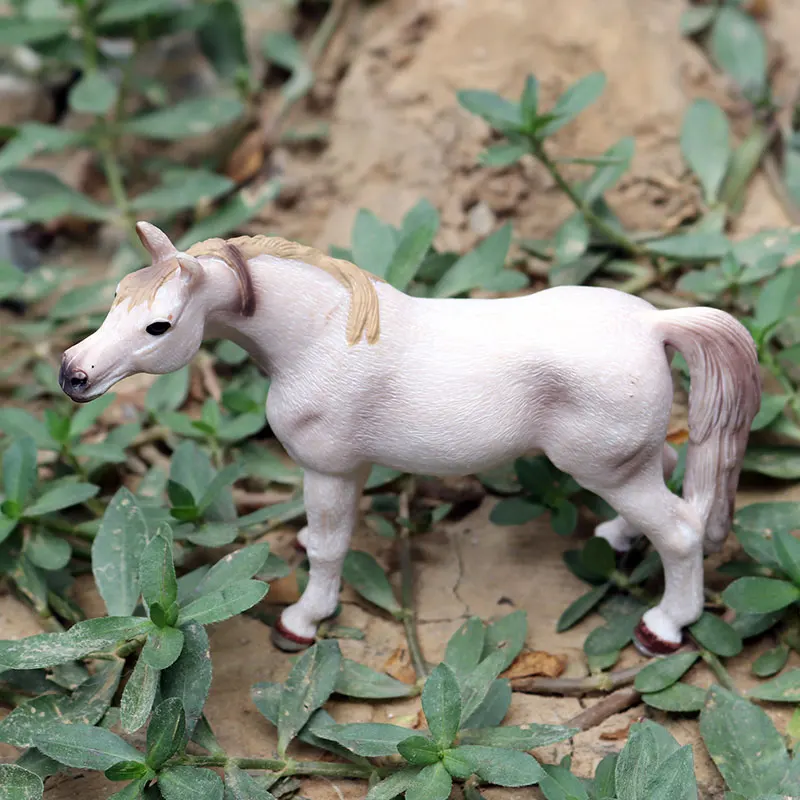 BT127-153阿拉伯母马