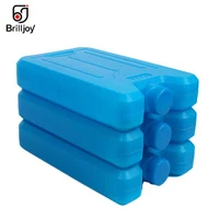 600ml Reusable Ice Brick Ice Block Ice Pack Cooler Milk Storage Camping Travel Fruit Cooler Box Portable Stay Fresh Ice Blocks 1