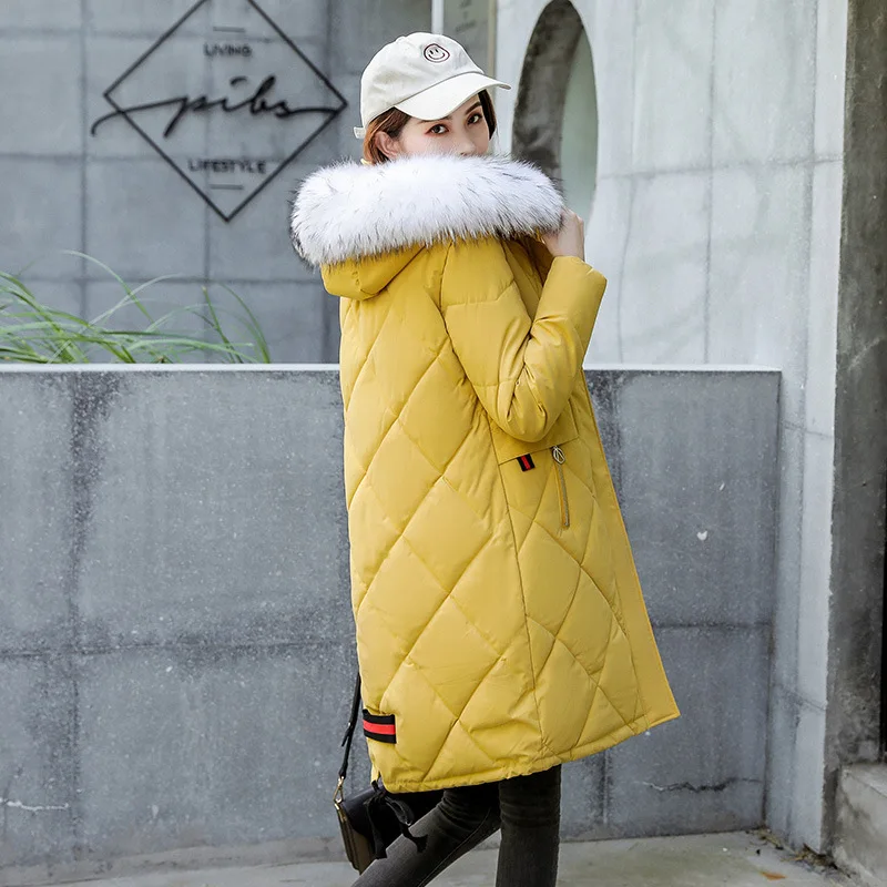 

New Explosion Winter 2009 Diamond Style Slim Hat and Fur Neck Mid-long Cotton Clothes and Cotton Coat Women's Style