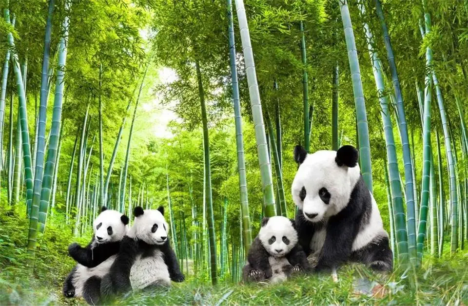 360截图20160730154818758