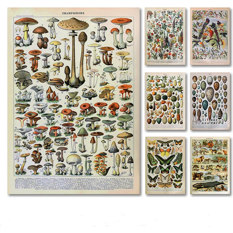 Canvas Painting Flower Mushrooms Retro Poster Wall-Art Animal Palaeobios-Plant Butterfly