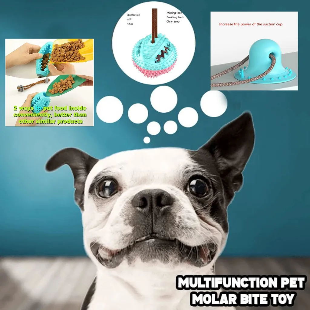 Pet Toy With Suction Cup Dog Molar Chew Self-playing TPR Ball With Tpr Self-playing Suction Cup Teeth Cleaning Pet Supplies