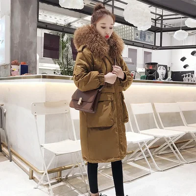Caramel beach wool Пляжный шерстяной пуховик с воротником, новинка, Женская Длинная зимняя Корейская версия, с капюшоном, выше колена, приталенная утолщенная куртка - Цвет: Caramel beach wool