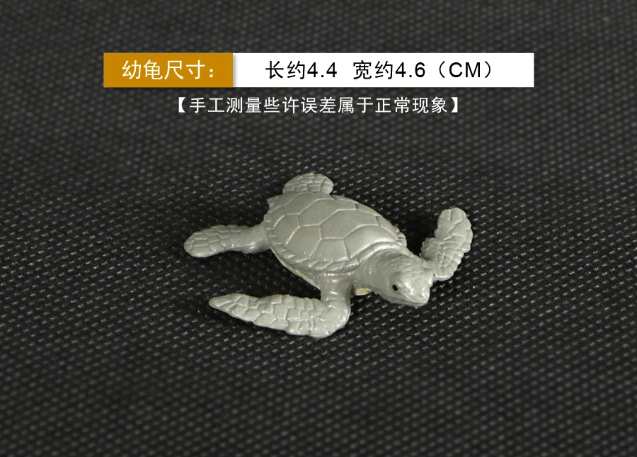 龟 (4)