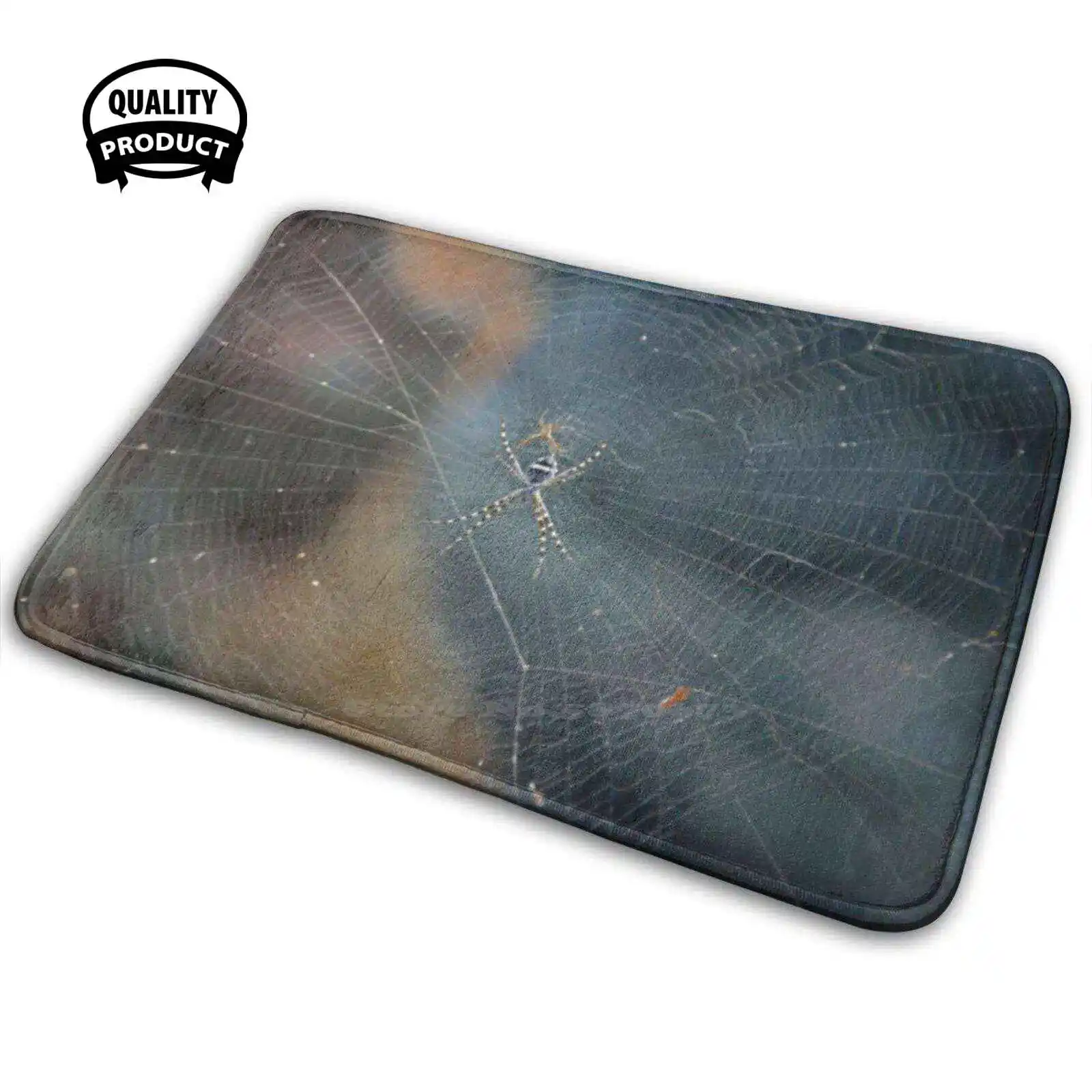 Morso Di Ragno Comodo Zerbino Tappeto Tappeto Cuscino Ragno Veleno Veleno Creepy Crawl Angry Insect Macro Dew Mountain