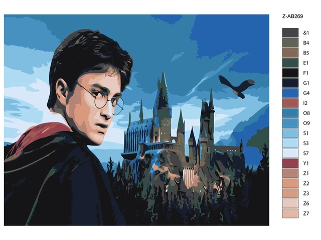 Painting By Numbers harry Potter: Burning Hogwarts, 40x50 Cm Painting By  Numbers, Potter_017 Picture Coloring Painting Drawing - Paint By Number  Package - AliExpress