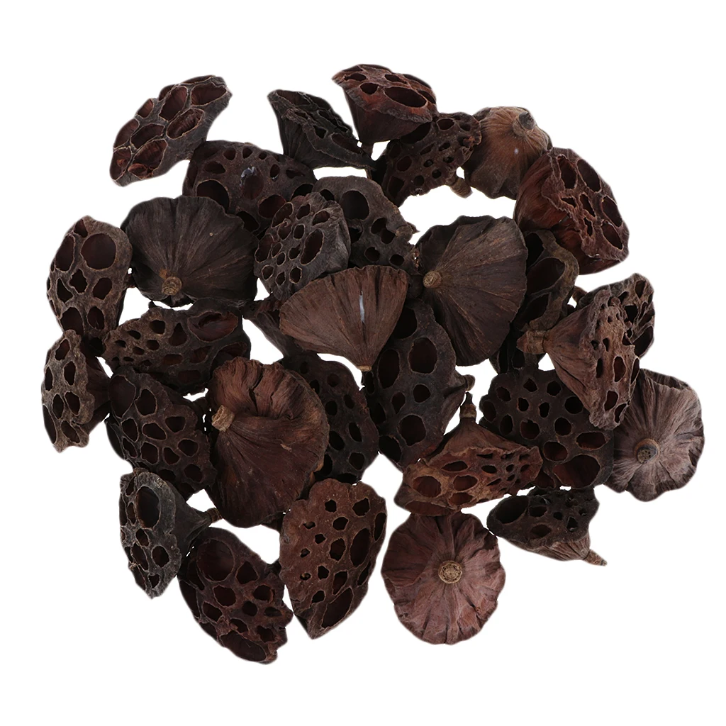 30x Natural Dried Lotus Pod Flowers /Fruit For Xmas Floral Decor Crafts DIY