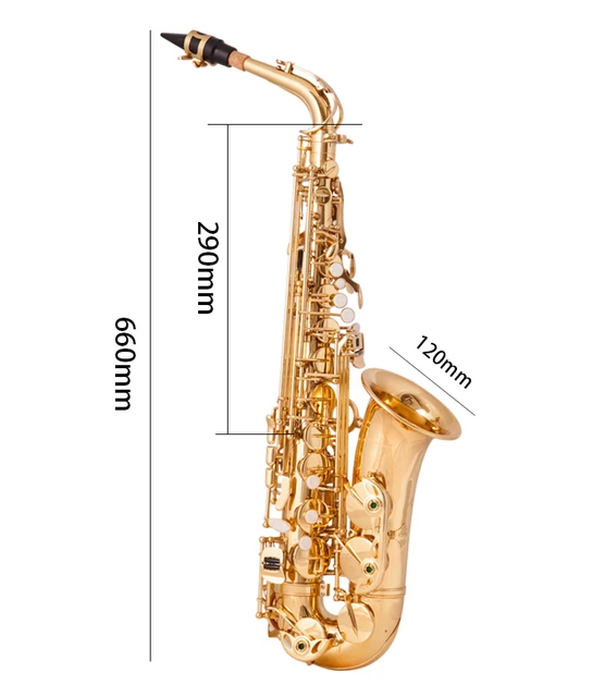 Saxophone alto E Flat Mayor Inner Exam avec étui rembourré, 802 touches,  qualité supérieure, livres, gril, gants, le plus récent - AliExpress