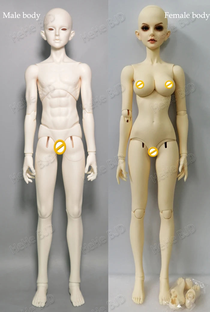 hehe male female