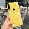 Case-c51