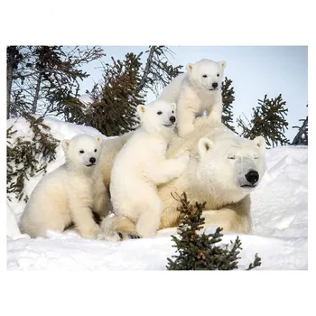 

full Square Round 5D Diamond Painting Polar Bear Needlework Diamond Embroidery Sale pictures of Rhinestones Mosaic Decor FG2118