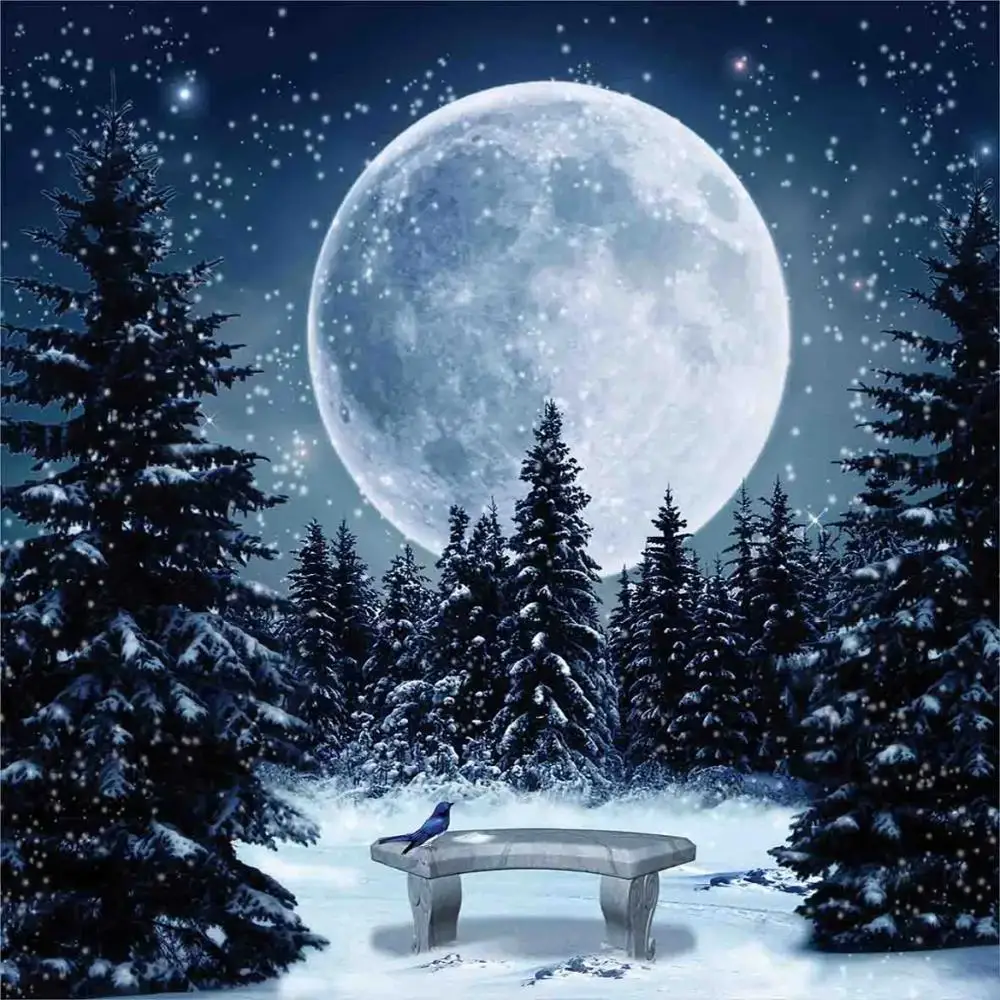 5D DIY diamond painting &quot Moon in the snow Full Drill Embroidery Cross Stitch Mosaic Craft Kits Home Decor Christmas Gift | Дом и сад