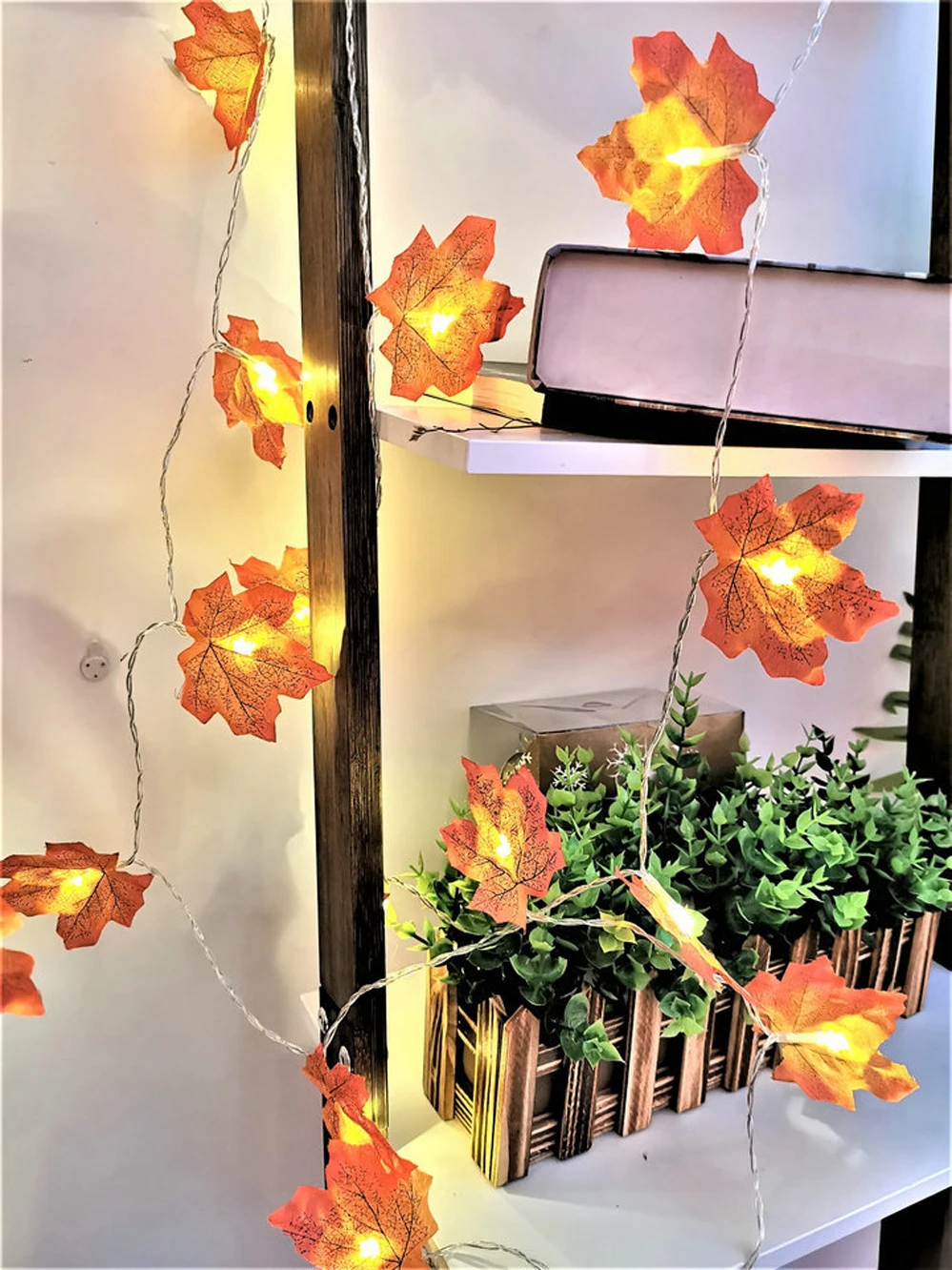 11677412624_1099349780