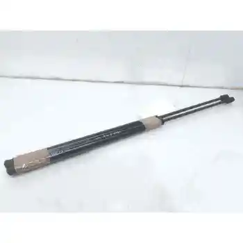 

7700434465 SHOCK ABSORBERS TRUNK PORTON RENAULT SCENIC (HA ..)