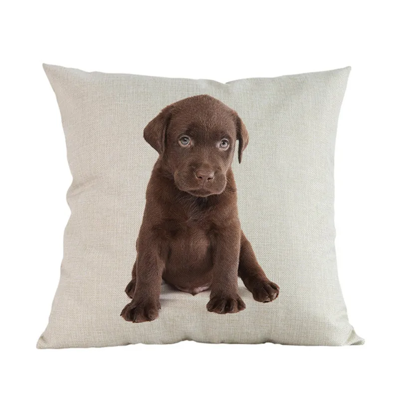 Cute-Puppy-Animal-Pet-Breed-Dogs-Dachshund-Corgi-Pomeranian-Shepherd-Labrador-Bulldog-Pillow-Case-Home-Shop.jpg_640x640 (5)