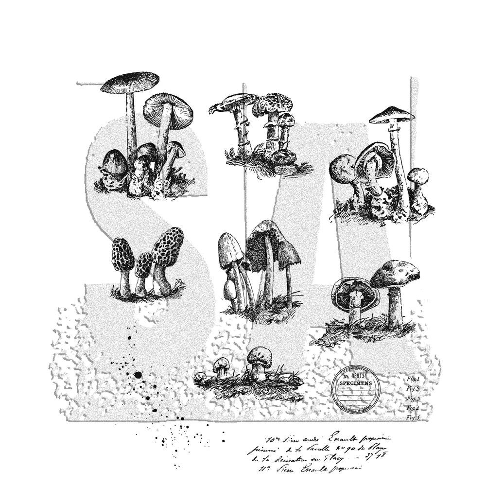 

mushroom Transparent Clear Stamp for DIY scrapbooking seal Card Making C606