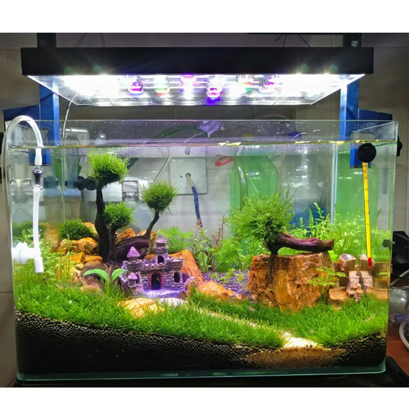 平底透镜效果图2