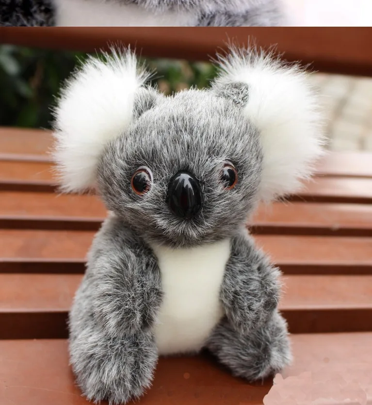 Poupee Koala Adventure 16cm Jouet Animal En Peluche Super Mignon Pour Bebe Et Adulte Nouvel Arrivage Australien Aliexpress